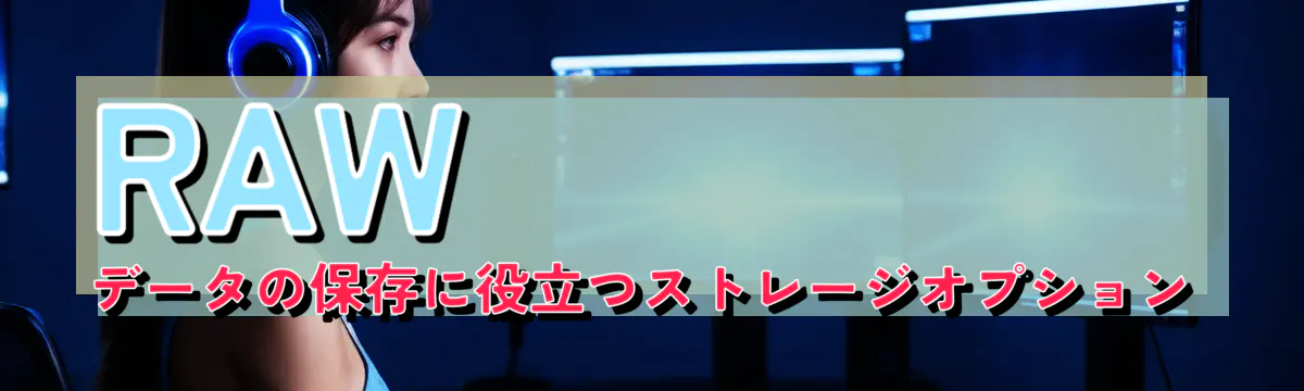RAWデータの保存に役立つストレージオプション